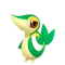 ツタージャ