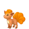 ロコン