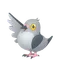 マメパト