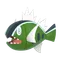 バスラオ(しろすじ)