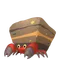 イワパレス