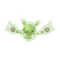 ランクルス