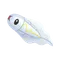 シビシラス
