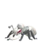 アイアント
