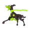 ジガルデ