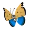 ビビヨン