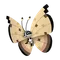 ビビヨン