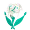 フラージェス