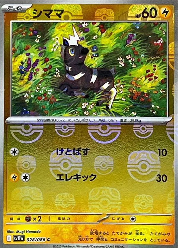 シママ