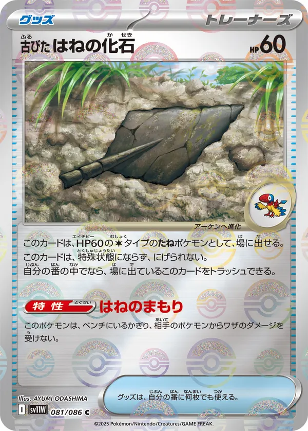 古びたはねの化石