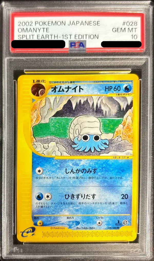 オムナイト