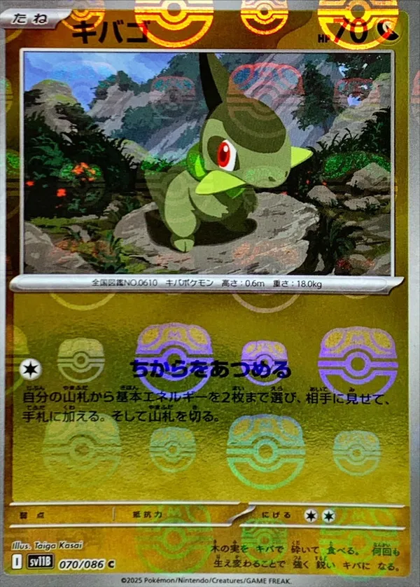 キバゴ