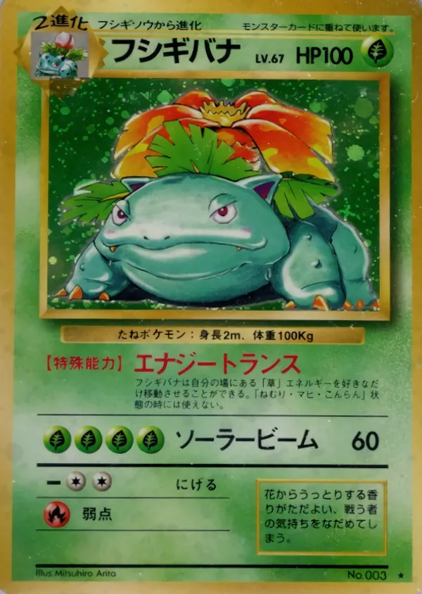 フシギバナ LV.67