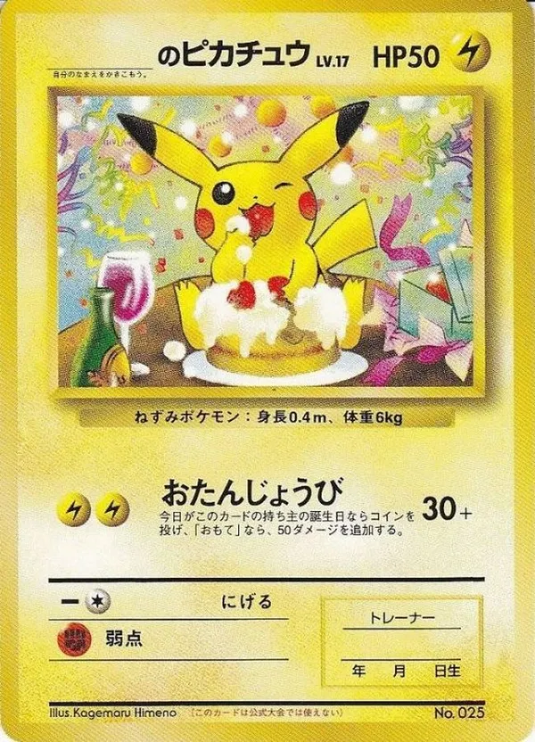 ＿のピカチュウ LV.17