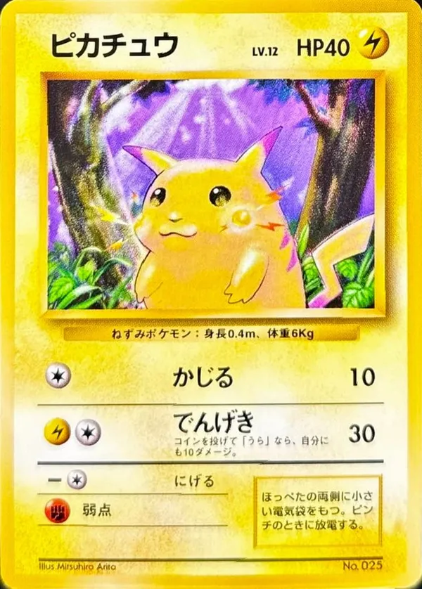 ピカチュウ LV.12