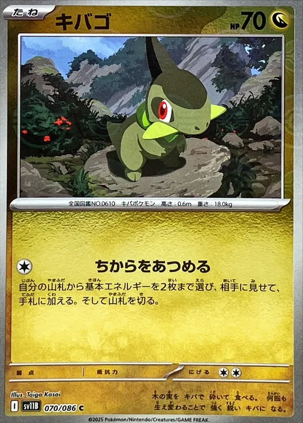 キバゴ