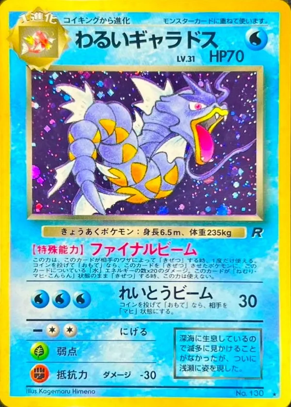 わるいギャラドス LV.31