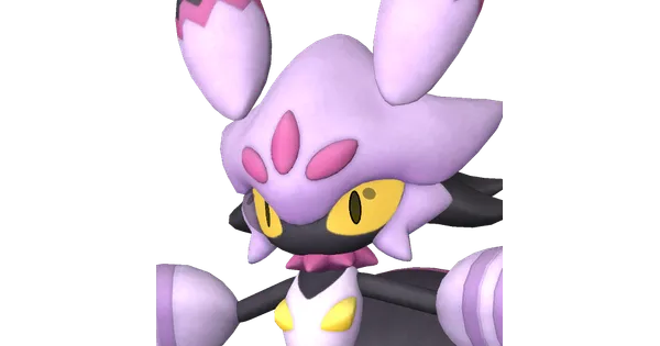 モモンチュラの画像