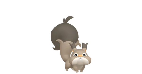 ホシガリスの画像