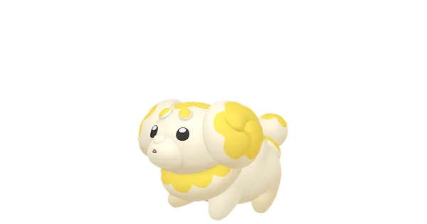 パピモッチの画像