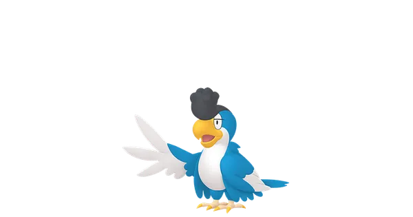 イキリンコの画像