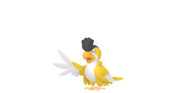 イキリンコの画像