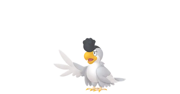 イキリンコの画像