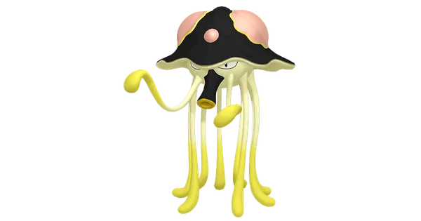 リククラゲの画像