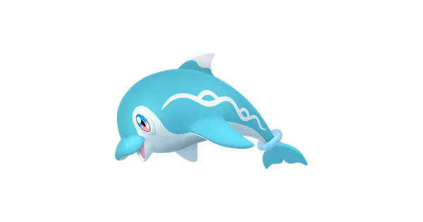 ナミイルカの画像