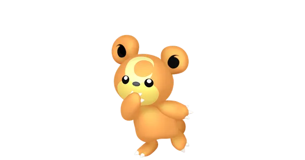 ヒメグマの画像