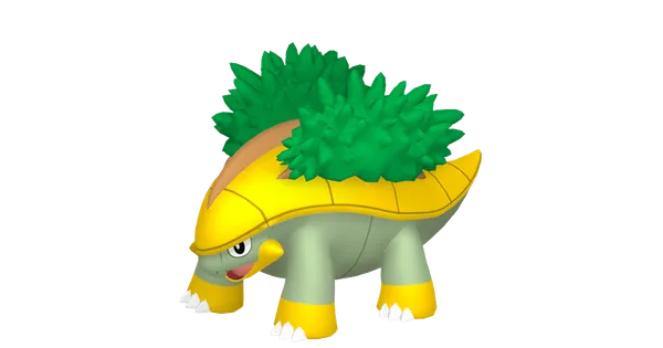 ハヤシガメの画像