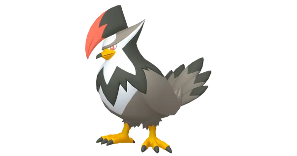 ムクホークの画像