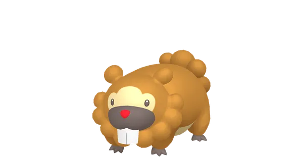 ビッパの画像