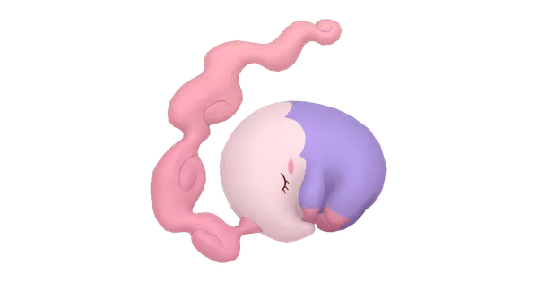 ムシャーナの画像
