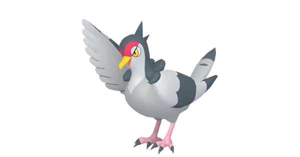 ハトーボーの画像