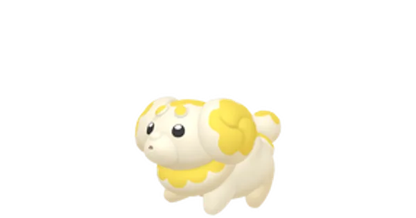 パピモッチの画像