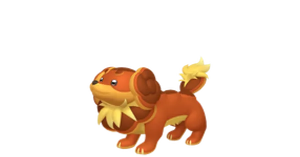 バウッツェルの画像