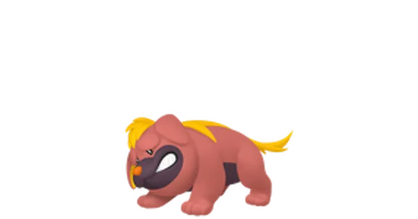 オラチフの画像