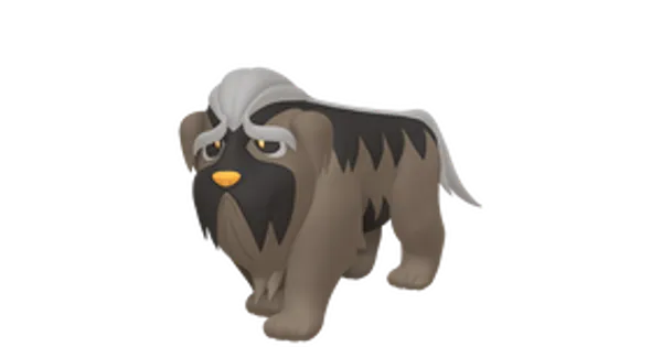 マフィティフの画像