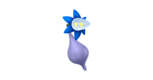 キラーメの画像