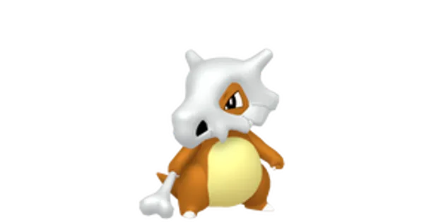 カラカラの画像