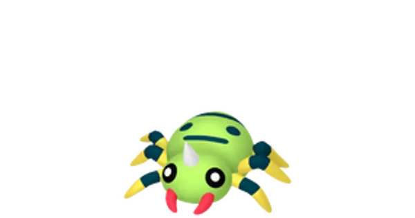 イトマルの画像