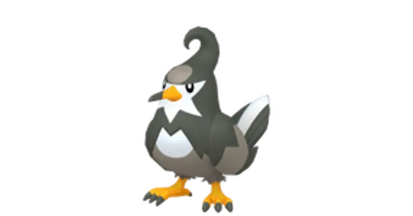 ムクバードの画像