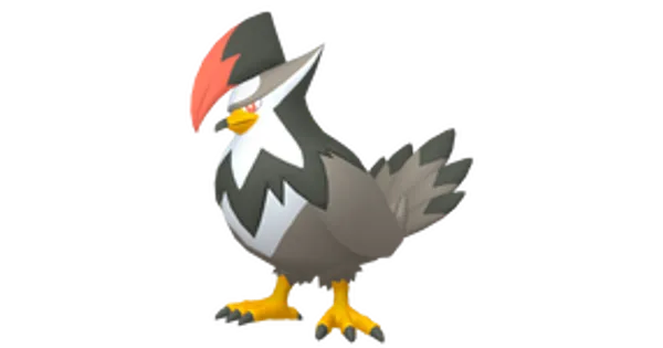 ムクホークの画像