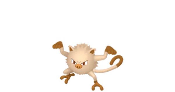 マンキーの画像