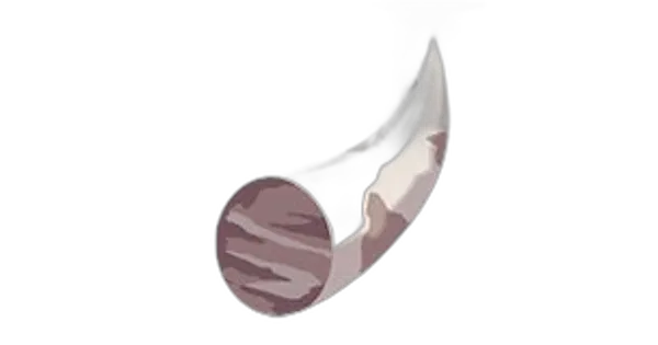 りゅうのキバの画像