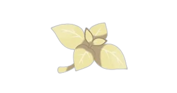 まじめミントの画像