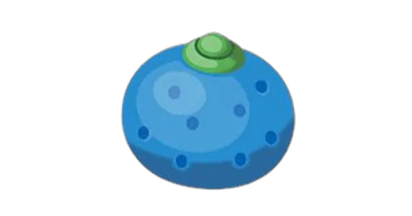 オレンのみの画像