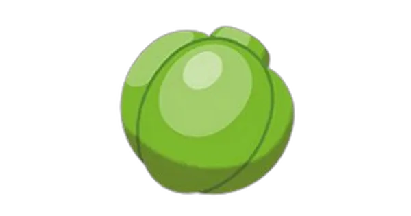 ラムのみの画像