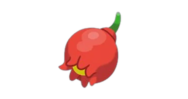 ザロクのみの画像